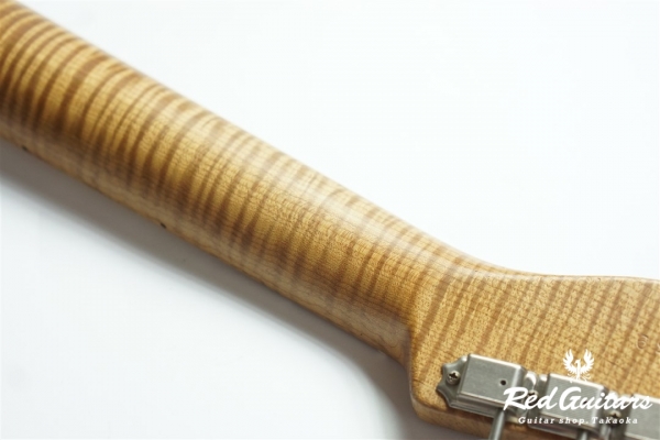 XTC-1 Heavey Aged/Ash/Master Grade Neck